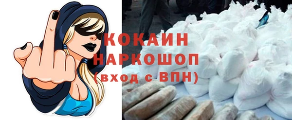 стаф Зерноград