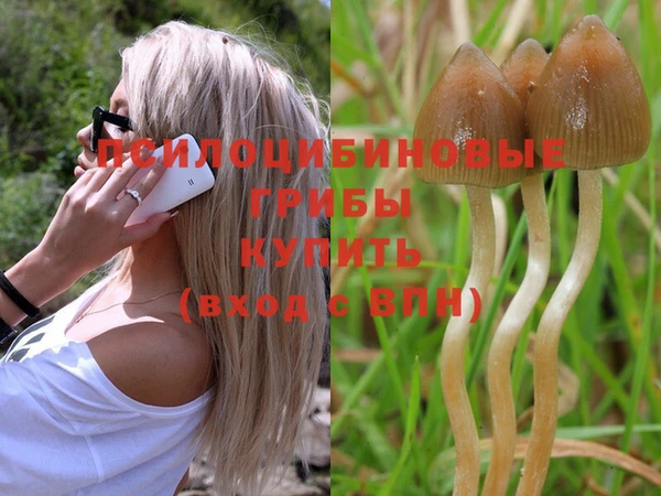мефедрон Зеленокумск