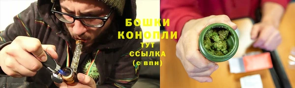 стаф Зерноград