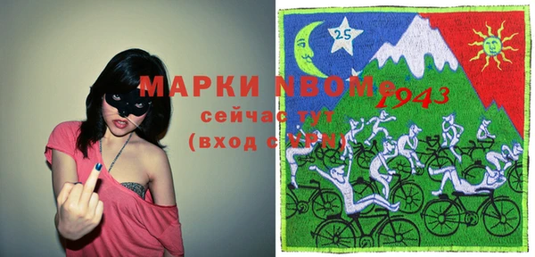 стаф Зерноград