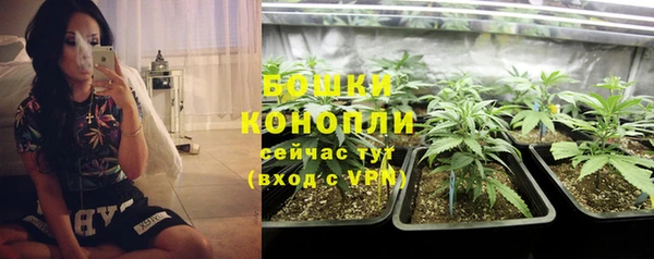 стаф Зерноград