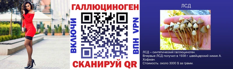 Галлюциногенные грибы Magic Shrooms  Купить закладки  Канск 